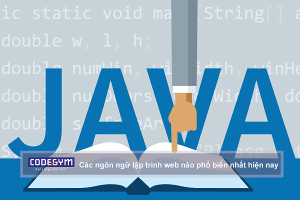 Các ngôn ngữ lập trình web nào phổ biến nhất hiện nay?