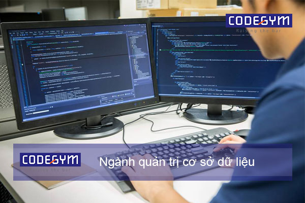 Học công nghệ thông tin ra trường làm gì