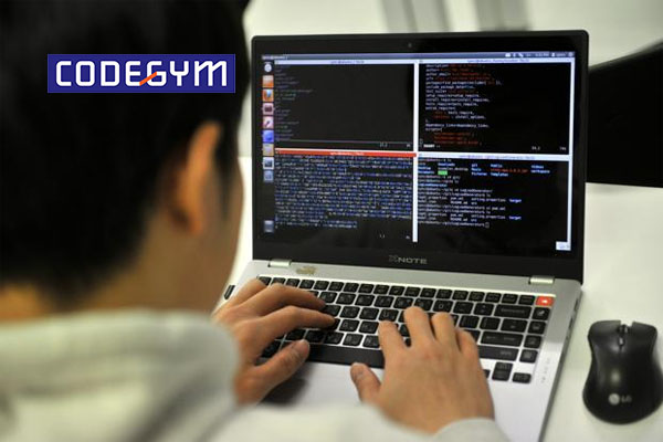 Công việc của lập trình viên hàng ngày