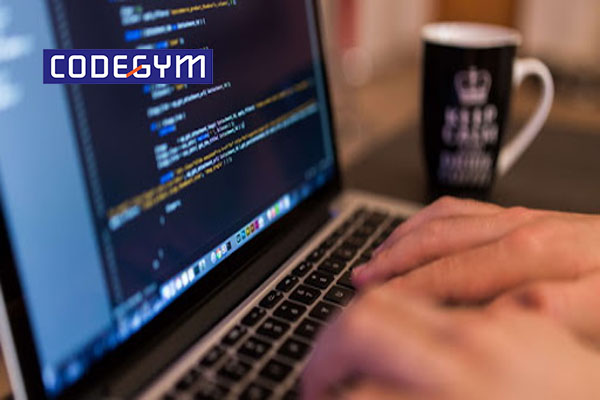 Công việc của lập trình viên hàng ngày