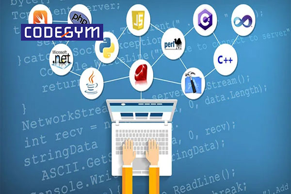 Muốn làm lập trình viên học ngành gì? Đặc điểm của nghề lập trình viên
