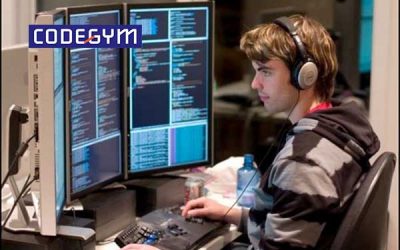 Nghề lập trình viên có cần bằng đại học không?
