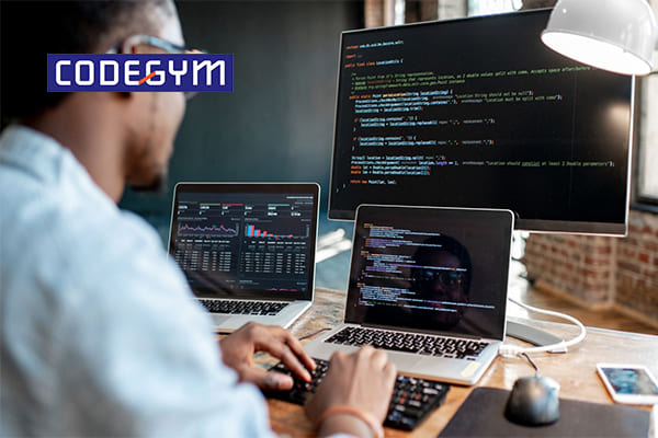 nghề lập trình viên có những ưu nhược điểm gì