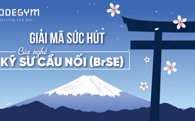 GIẢI MÃ SỨC HÚT CỦA NGHỀ KỸ SƯ CẦU NỐI