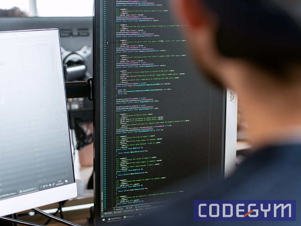 developer là gì