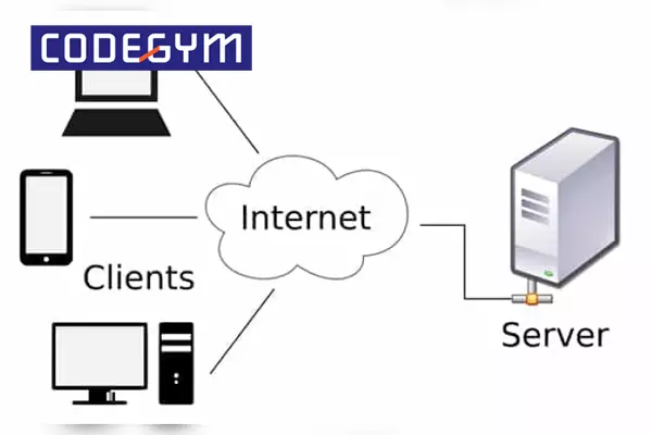 Client và server có nhiều điểm khác biệt rõ rệt