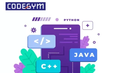 Ngôn ngữ lập trình bậc cao là gì?