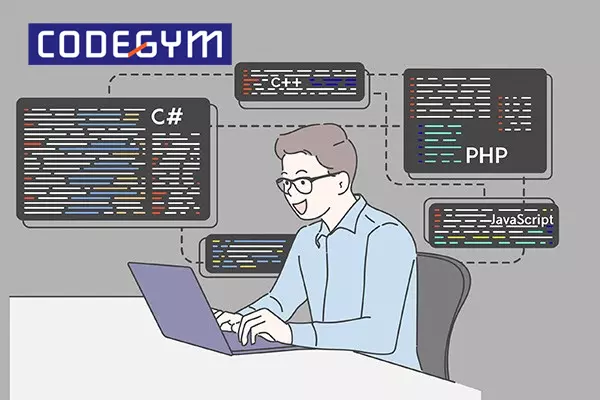 Kỹ sư hệ thống