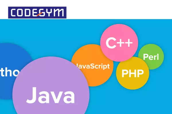 Chọn sai ngôn ngữ lập trình khiến bạn mất thời gian phát triển