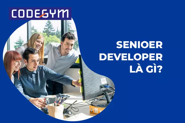 Senior Developer dùng để chỉ các lập trình viên cấp cao.