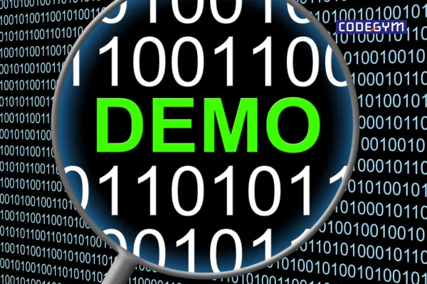 portfolio it 2